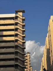 누나 바라기 Talk