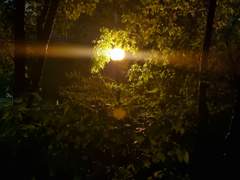 마음 속에 묻은 나의 이야기는 나를 담은 꽃이 되었다.