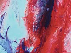 무패의 유키하나