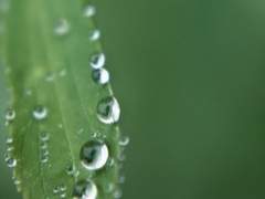 이슬 맺힌 한겨울밤