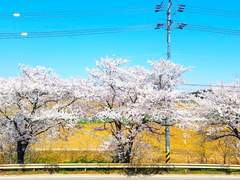 대체로 맞습니다 17