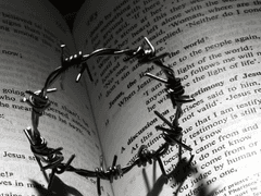 생명이 사라지는 땅 속을 거닐며