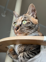 퇴사 후 홀로서기