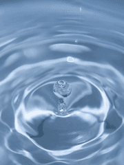 효원경찰서 크리쳐대책과 인간형크리쳐대응계