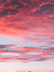 [전독시X내스급] 