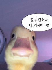 회시생에서 회계사로 진화하기