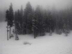 겨울의 미숫가루