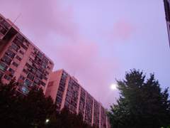 [하쿠카이]하얀 새의 곁