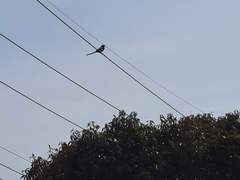 남편 말고, 내가 기다리는 남자