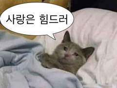 딱히 죽일 의도는 없었어요