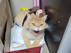 리우, 소통을 배우다