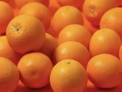 저 형은 맨날 나만 싫어해! 하는 부승관 보고싶다..