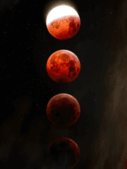 내가 늑대 신부일 수 있는 거임? 인티제도?