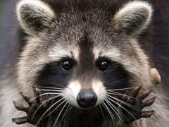 반갑습니다 하하하