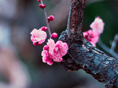 망둥아, 생일 축하한다!