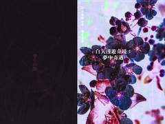 [백천청명]백천만유기경 : 몽중기우 인포