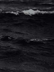 소방서 옆 응급실