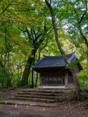 호러였는데요 로맨스입니다