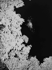 심심한 하늘엔 별이 총총