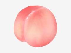 도(桃)를 아십니까?