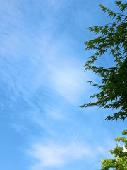 [세죠카게/요원물] 오해하는 세죠