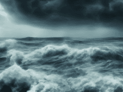 자유를 마주한 인형