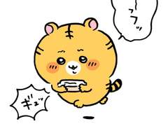 알포트 (초콜릿비스켓)