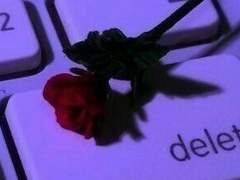 푸른 여우 한 마리