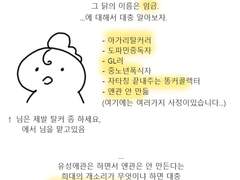 GL 커뮤에서 중년캐 망태기에 담아온 후기 (1)