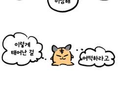 우지도치와 햄쥑홋 - 햄쥑홋과 뱀슈