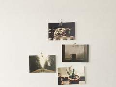 If you steal the show