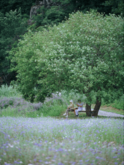 혁명&초세여 바다조 여행 일상물