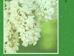 [태섭대만] 예비 1번