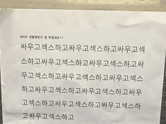 친구 따라 안남 가기