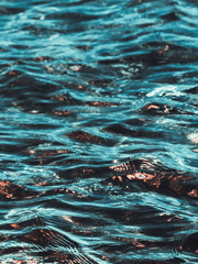 𝙮𝙤𝙪 𝙖𝙘𝙘𝙚𝙥𝙩 𝙖𝙥𝙤𝙡𝙤𝙜𝙮.