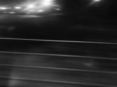 세상이 되고 싶었다