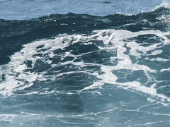 [사이퍼즈/릭마틴] 마지막 여정