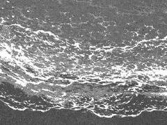 바다가 되고 싶어요