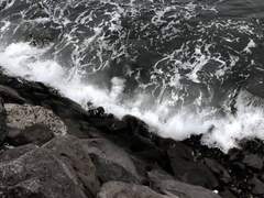 당신의 구원은 내겐 타락이지만