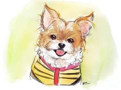 반려동물 수채화 커미션