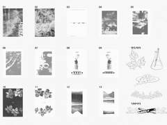 Operation Parsley 내지 작업 후기