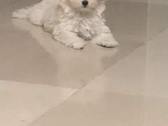 [솬] 9/17 | 순수의 지속