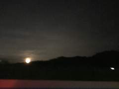 나의 첫, 나의 마지막