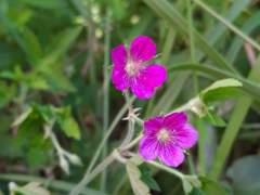 나의 의원면직 절차(2-2)얼굴도 모르는 인사 담당자에게 간절한 메일을 발송했다