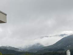 [숲] 09.17 | Don’t hide ◡̈