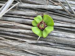 아들보다 더 하는 며느리, 그 이유는