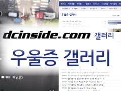 디시인사이드 우울증갤러리를 2년간 하며 겪은 일들