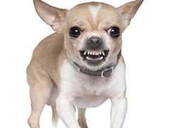 백마탄 왕자 혐오증 (1)