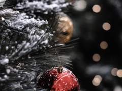 외계인이 내려와 하는 말 16