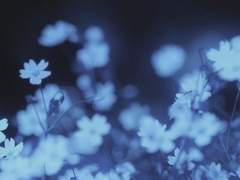 너에게 남기는 편지